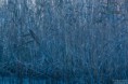 /album/galleria-foto-galleria-fotografica/dsc-0813-2-jpg/